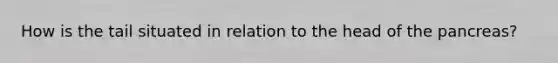 How is the tail situated in relation to the head of the pancreas?