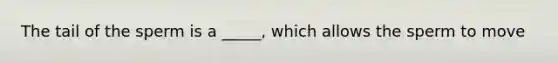 The tail of the sperm is a _____, which allows the sperm to move
