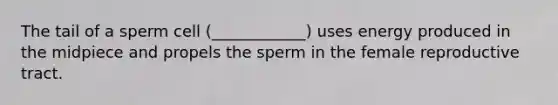 The tail of a sperm cell (____________) uses energy produced in the midpiece and propels the sperm in the female reproductive tract.