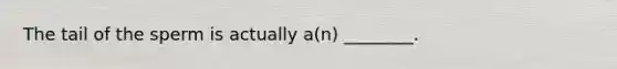 The tail of the sperm is actually a(n) ________.