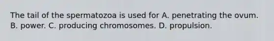 The tail of the spermatozoa is used for A. penetrating the ovum. B. power. C. producing chromosomes. D. propulsion.