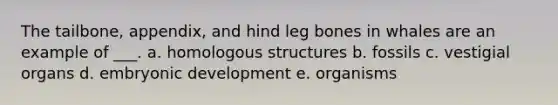 The tailbone, appendix, and hind leg bones in whales are an example of ___. a. homologous structures b. fossils c. vestigial organs d. embryonic development e. organisms