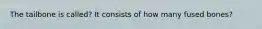 The tailbone is called? It consists of how many fused bones?