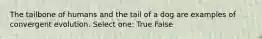 The tailbone of humans and the tail of a dog are examples of convergent evolution. Select one: True False