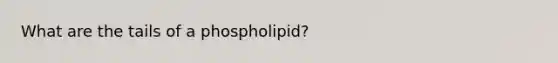 What are the tails of a phospholipid?