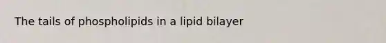 The tails of phospholipids in a lipid bilayer