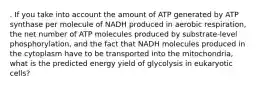 . If you take into account the amount of ATP generated by ATP synthase per molecule of NADH produced in aerobic respiration, the net number of ATP molecules produced by substrate-level phosphorylation, and the fact that NADH molecules produced in the cytoplasm have to be transported into the mitochondria, what is the predicted energy yield of glycolysis in eukaryotic cells?