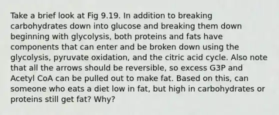 Take a brief look at Fig 9.19. In addition to breaking carbohydrates down into glucose and breaking them down beginning with glycolysis, both proteins and fats have components that can enter and be broken down using the glycolysis, pyruvate oxidation, and the citric acid cycle. Also note that all the arrows should be reversible, so excess G3P and Acetyl CoA can be pulled out to make fat. Based on this, can someone who eats a diet low in fat, but high in carbohydrates or proteins still get fat? Why?