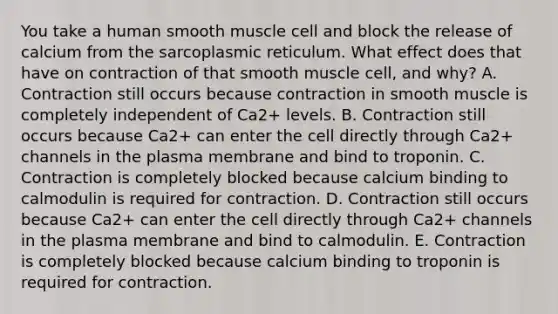 You take a human smooth muscle cell and block the release of calcium from the sarcoplasmic reticulum. What effect does that have on contraction of that smooth muscle cell, and why? A. Contraction still occurs because contraction in smooth muscle is completely independent of Ca2+ levels. B. Contraction still occurs because Ca2+ can enter the cell directly through Ca2+ channels in the plasma membrane and bind to troponin. C. Contraction is completely blocked because calcium binding to calmodulin is required for contraction. D. Contraction still occurs because Ca2+ can enter the cell directly through Ca2+ channels in the plasma membrane and bind to calmodulin. E. Contraction is completely blocked because calcium binding to troponin is required for contraction.