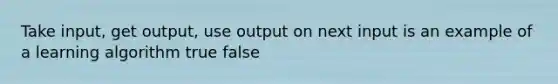 Take input, get output, use output on next input is an example of a learning algorithm true false