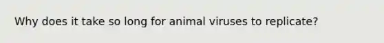 Why does it take so long for animal viruses to replicate?