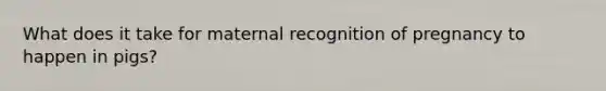 What does it take for maternal recognition of pregnancy to happen in pigs?