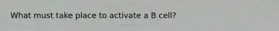 What must take place to activate a B cell?