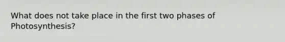 What does not take place in the first two phases of Photosynthesis?