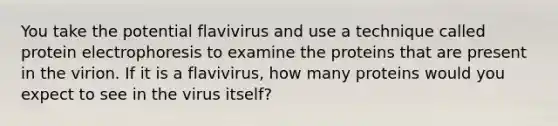 You take the potential flavivirus and use a technique called protein electrophoresis to examine the proteins that are present in the virion. If it is a flavivirus, how many proteins would you expect to see in the virus itself?