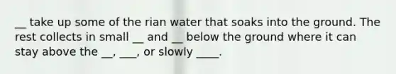 __ take up some of the rian water that soaks into the ground. The rest collects in small __ and __ below the ground where it can stay above the __, ___, or slowly ____.