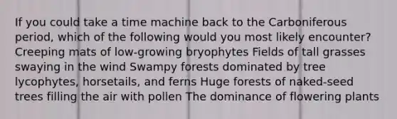 If you could take a time machine back to the Carboniferous period, which of the following would you most likely encounter? Creeping mats of low-growing bryophytes Fields of tall grasses swaying in the wind Swampy forests dominated by tree lycophytes, horsetails, and ferns Huge forests of naked-seed trees filling the air with pollen The dominance of flowering plants