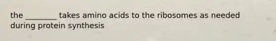 the ________ takes amino acids to the ribosomes as needed during protein synthesis
