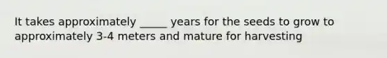 It takes approximately _____ years for the seeds to grow to approximately 3-4 meters and mature for harvesting