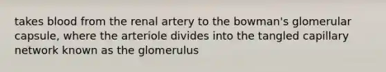 takes blood from the renal artery to the bowman's glomerular capsule, where the arteriole divides into the tangled capillary network known as the glomerulus