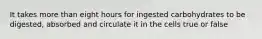 It takes more than eight hours for ingested carbohydrates to be digested, absorbed and circulate it in the cells true or false