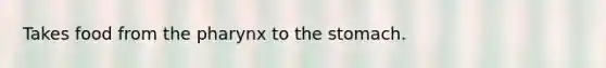 Takes food from the pharynx to the stomach.