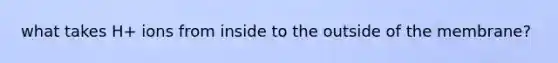 what takes H+ ions from inside to the outside of the membrane?