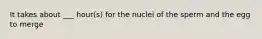 It takes about ___ hour(s) for the nuclei of the sperm and the egg to merge