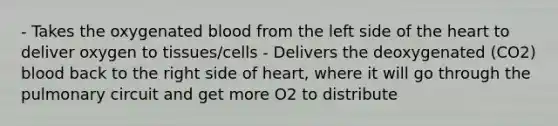 - Takes the oxygenated blood from the left side of the heart to deliver oxygen to tissues/cells - Delivers the deoxygenated (CO2) blood back to the right side of heart, where it will go through the pulmonary circuit and get more O2 to distribute