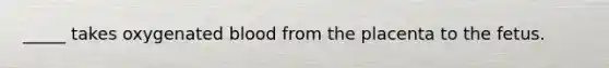 _____ takes oxygenated blood from the placenta to the fetus.