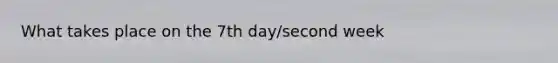 What takes place on the 7th day/second week