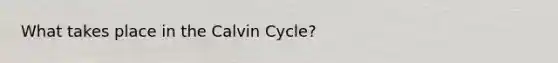 What takes place in the Calvin Cycle?