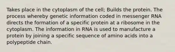 Takes place in the cytoplasm of the cell; Builds the protein. The process whereby genetic information coded in messenger RNA directs the formation of a specific protein at a ribosome in the cytoplasm. The information in RNA is used to manufacture a protein by joining a specific sequence of amino acids into a polypeptide chain.