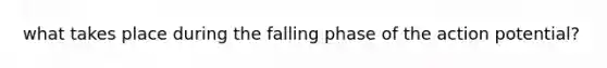 what takes place during the falling phase of the action potential?