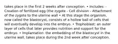 takes place in the first 2 weeks after conception. • Includes: - Creation of fertilized egg (the zygote - Cell division - Attachment of the zygote to the uterine wall • At this stage the organism, now called the blastocyst, consists of a hollow ball of cells that will eventually develop into the embryo. • Trophoblast: an outer layer of cells that later provides nutrition and support for the embryo. • Implantation: the embedding of the blastocyst in the uterine wall, takes place during the 2nd week after conception.