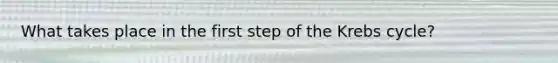 What takes place in the first step of the Krebs cycle?