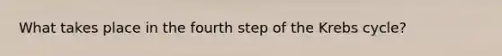 What takes place in the fourth step of the Krebs cycle?