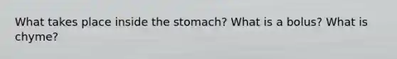 What takes place inside the stomach? What is a bolus? What is chyme?