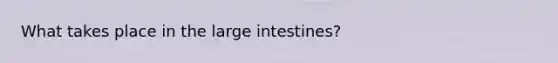 What takes place in the large intestines?