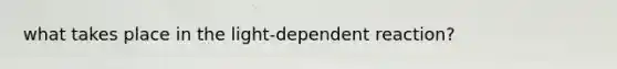 what takes place in the light-dependent reaction?