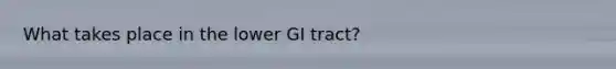 What takes place in the lower GI tract?