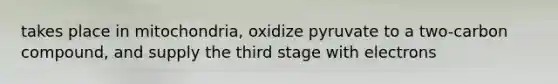 takes place in mitochondria, oxidize pyruvate to a two-carbon compound, and supply the third stage with electrons