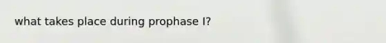 what takes place during prophase I?