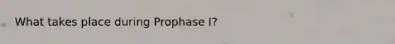 What takes place during Prophase I?