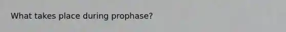 What takes place during prophase?