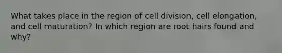 What takes place in the region of <a href='https://www.questionai.com/knowledge/kjHVAH8Me4-cell-division' class='anchor-knowledge'>cell division</a>, cell elongation, and cell maturation? In which region are root hairs found and why?