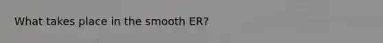 What takes place in the smooth ER?