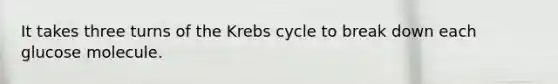 It takes three turns of the Krebs cycle to break down each glucose molecule.