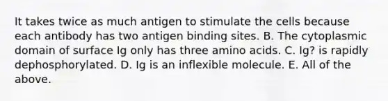 It takes twice as much antigen to stimulate the cells because each antibody has two antigen binding sites. B. The cytoplasmic domain of surface Ig only has three amino acids. C. Ig? is rapidly dephosphorylated. D. Ig is an inflexible molecule. E. All of the above.