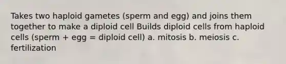 Takes two haploid gametes (sperm and egg) and joins them together to make a diploid cell Builds diploid cells from haploid cells (sperm + egg = diploid cell) a. mitosis b. meiosis c. fertilization